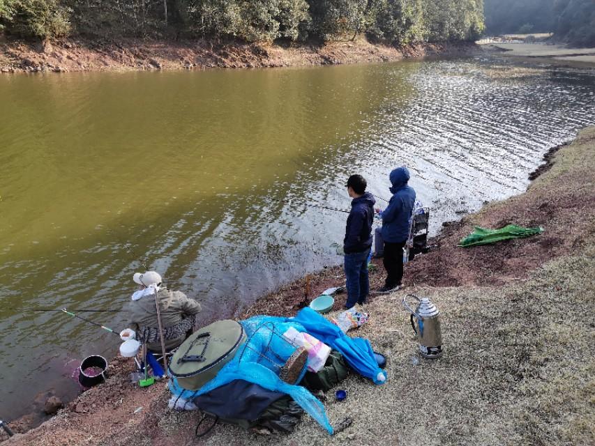 最新水庫釣魚視頻，探索釣魚樂趣與技巧全攻略