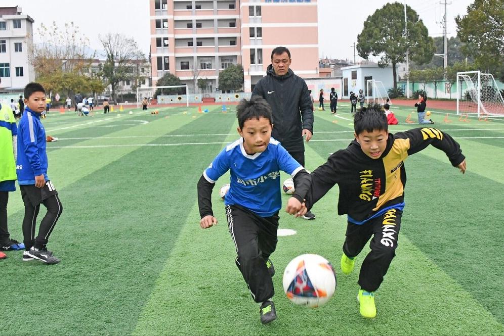 蕭縣最新招標(biāo)信息解析與動(dòng)態(tài)速遞