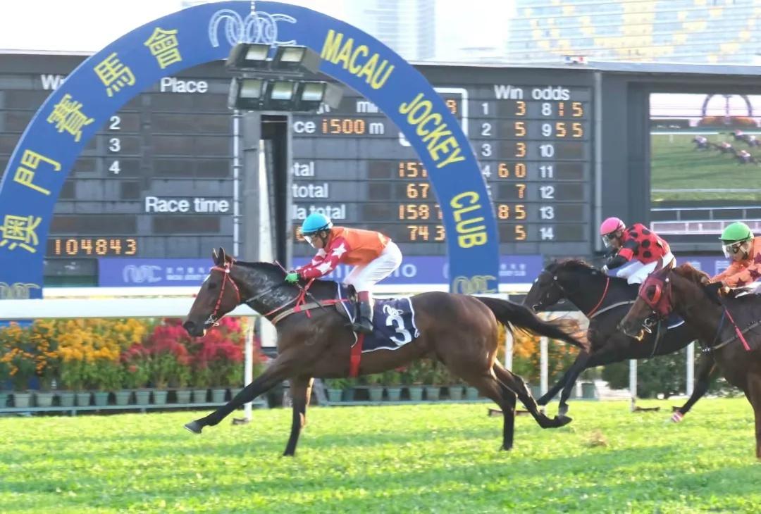 馬會澳門一傳真,專業(yè)解讀方案實(shí)施_CSF27.813原創(chuàng)版