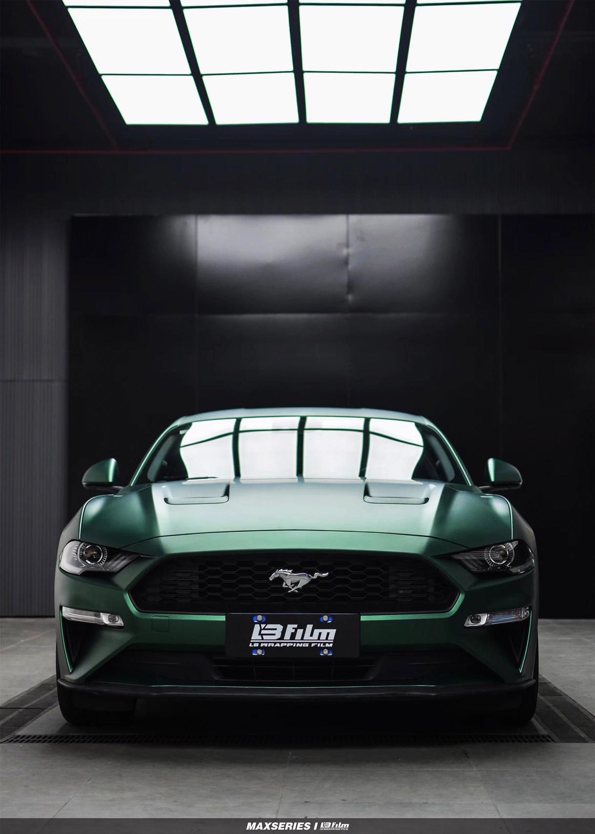 最新野馬汽車，技術(shù)革新與市場競爭的展現(xiàn)