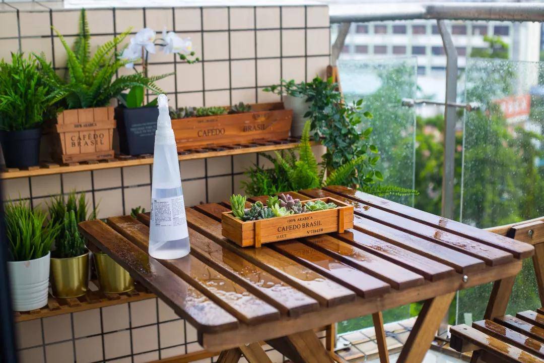 澳門(mén)今晚上必開(kāi)一肖,快速解答方案設(shè)計(jì)_BBH10.637曝光版