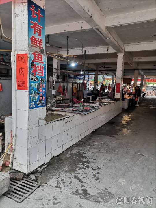 最新魚(yú)檔轉(zhuǎn)讓?zhuān)盐丈虣C(jī)，輕松開(kāi)啟水產(chǎn)養(yǎng)殖事業(yè)之路