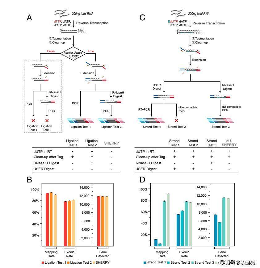 新澳門49圖資料,科學分析嚴謹解釋_BDU85.735跨平臺版