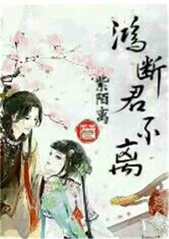 沈南汐最新小說，知識的力量，成就夢想的翅膀之路