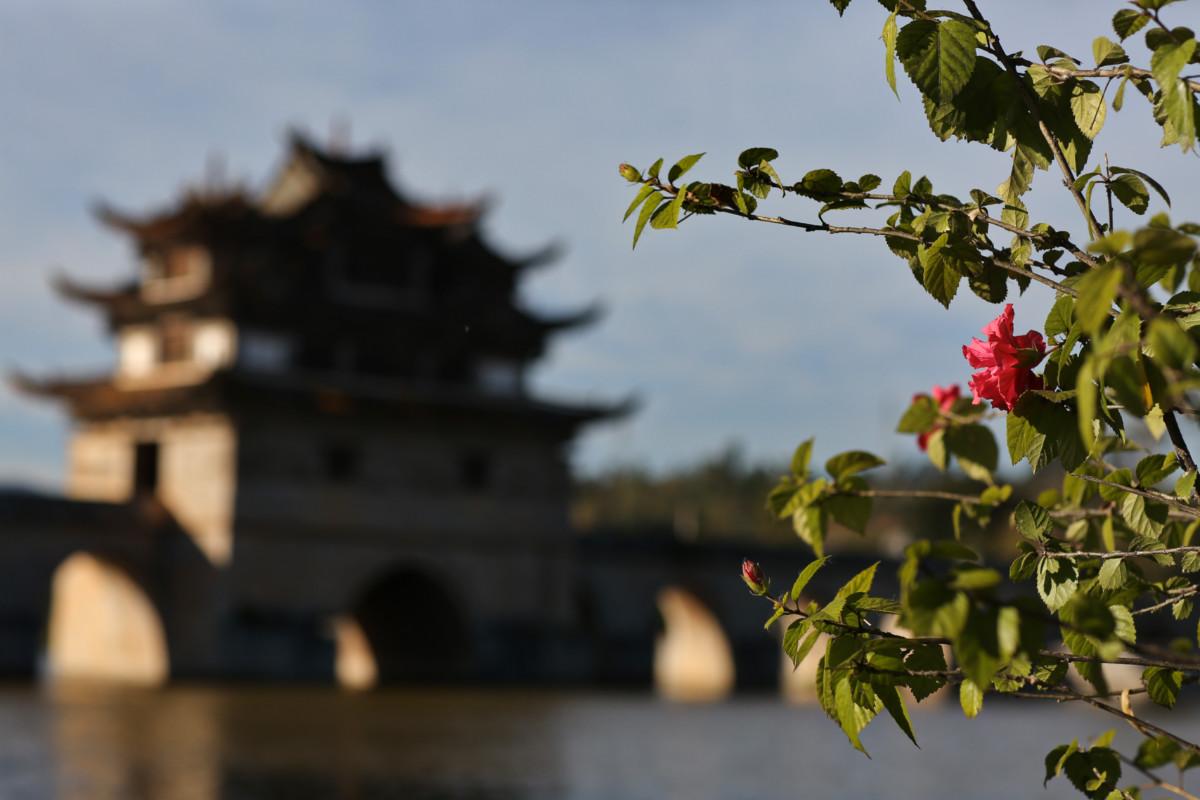 大冰最新力作，智能生活新紀(jì)元——科技與生活的完美融合