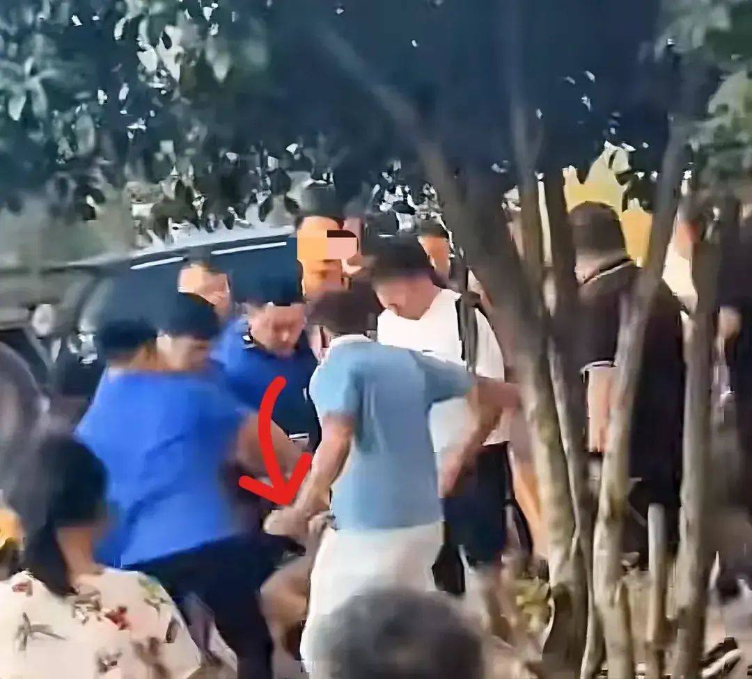 一打假博主團(tuán)隊遭商戶圍毆,農(nóng)林經(jīng)濟(jì)管理_CNC9.631內(nèi)容版