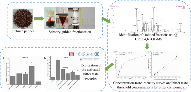 494949開獎最快結(jié)果,科技成果解析_GZY9.585輕量版