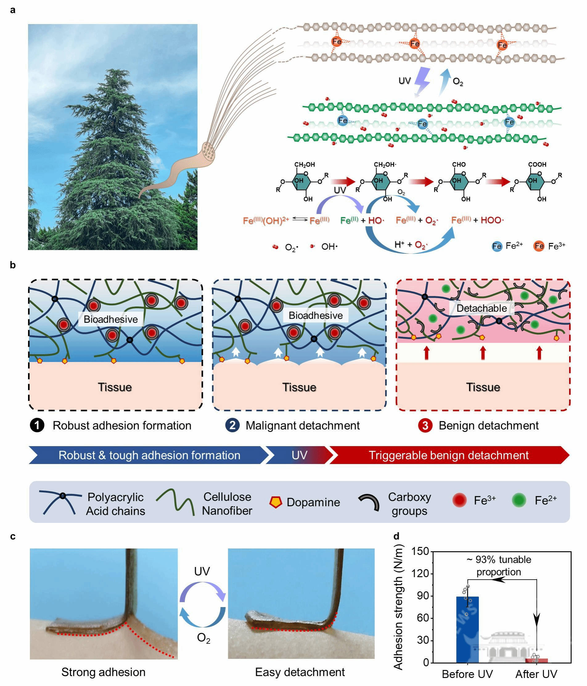 2024新澳門原料免費(fèi)大全,創(chuàng)新策略設(shè)計(jì)_硬件版77.555