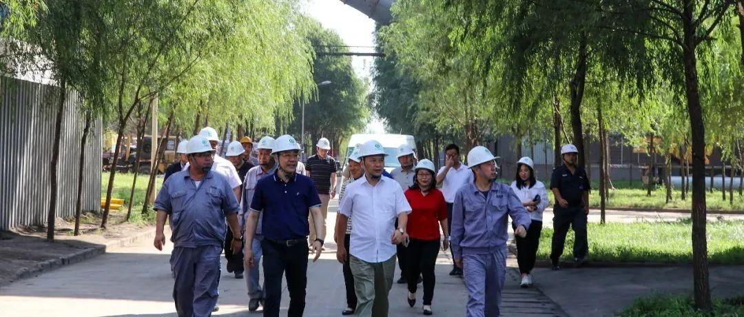 最新鍋爐工招聘信息揭秘，鍋爐工的溫馨日常故事探索