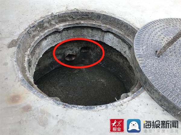 福建臺(tái)幫幫團(tuán)最新一期揭秘，小巷深處的隱藏美食瑰寶