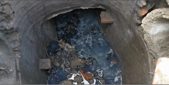 遂寧市電子廠最新招聘，與自然共舞，探尋內(nèi)心寧靜之旅