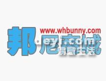 葫蘆島最新營業(yè)員招聘動態(tài)，背景分析與影響探討