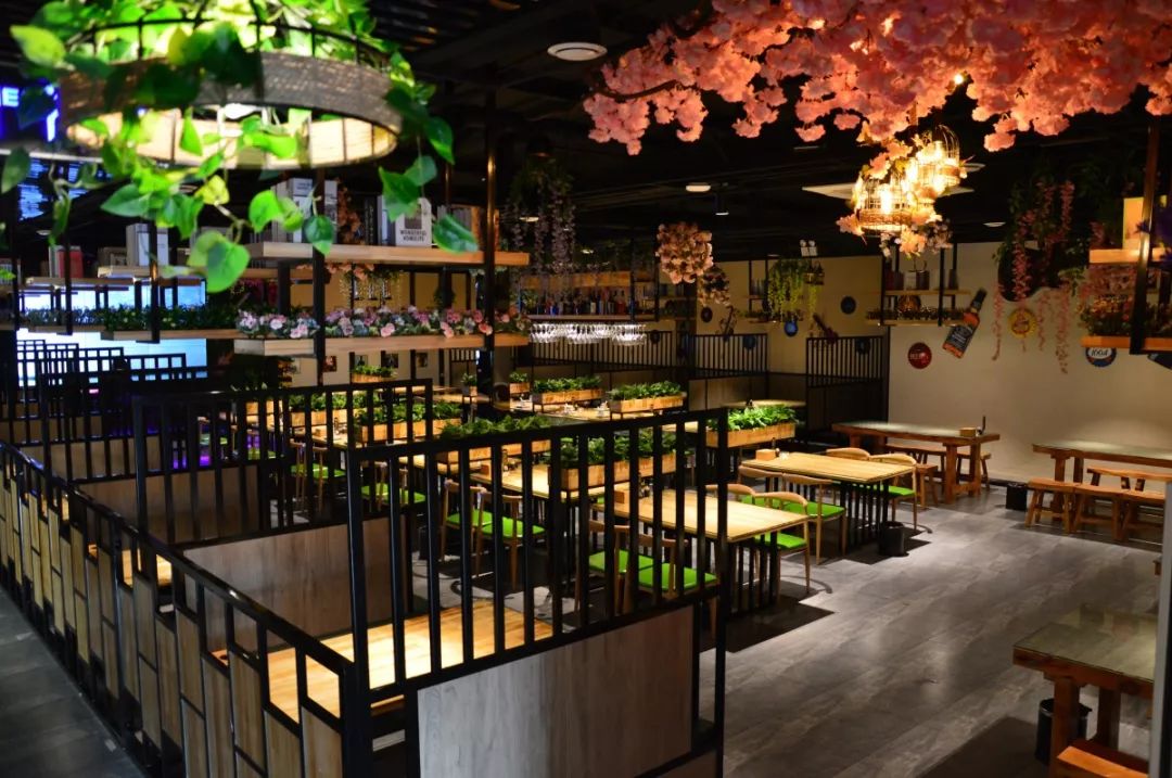 中餐廳最新一期音樂，熱門旋律與節(jié)目魅力的完美交融