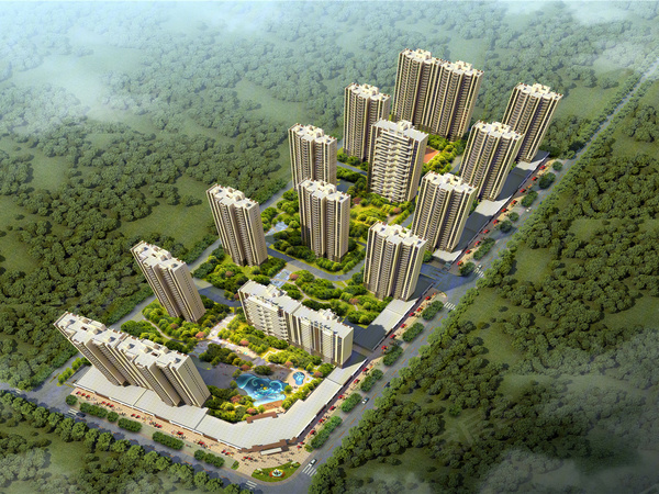 陸豐碧桂園最新動態(tài)，溫馨日常的趣事