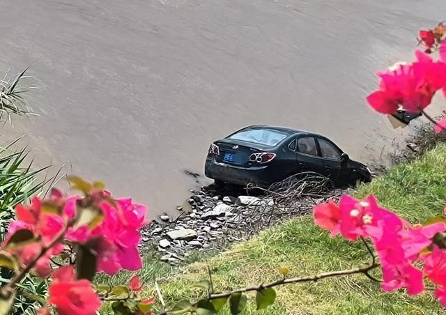 宜賓洪水最新消息，深度解析及應(yīng)對(duì)建議