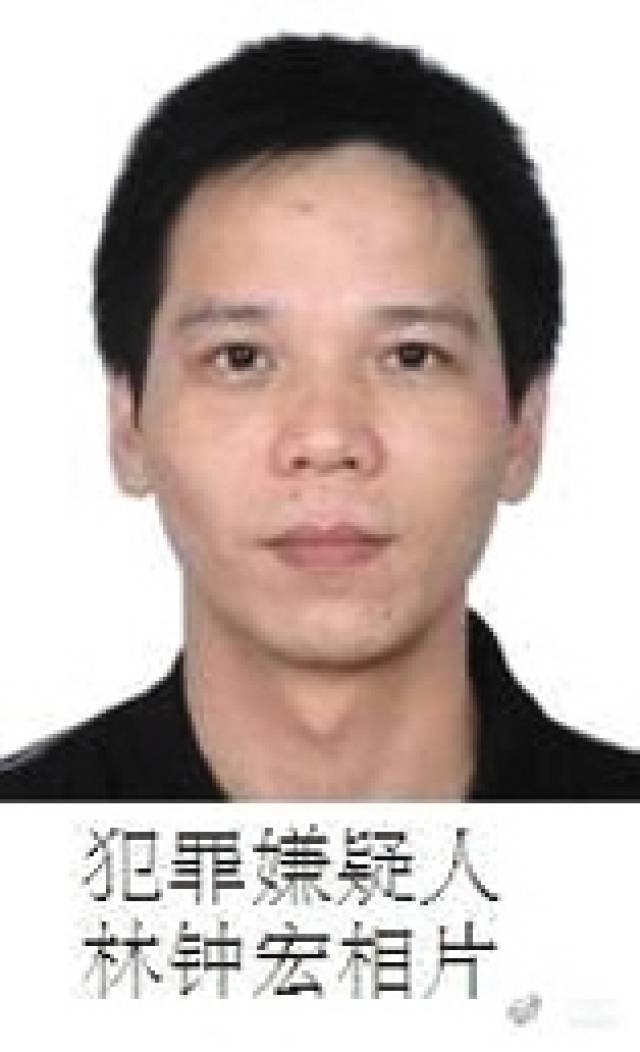 張宸案最新進(jìn)展，城市生活的溫馨日常關(guān)注