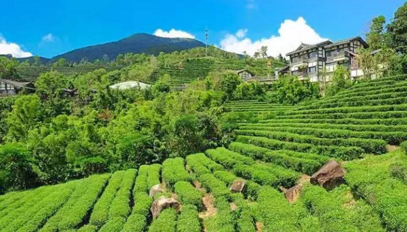 深圳驚喜活動(dòng)溫情之旅，日常中的特別瞬間