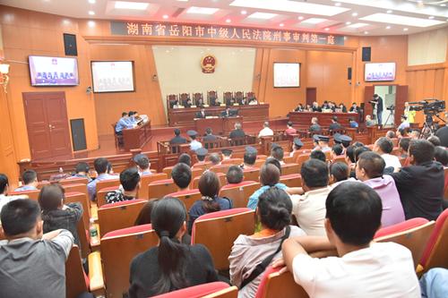 聶祖峰最新探索之旅，自然美景中的心靈尋覓與平和之境