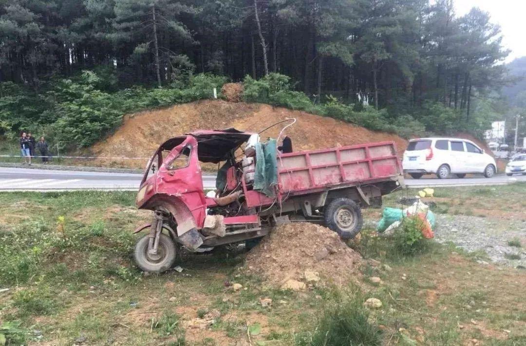 平山事故背后的溫馨故事，友情、愛與陪伴的奇遇