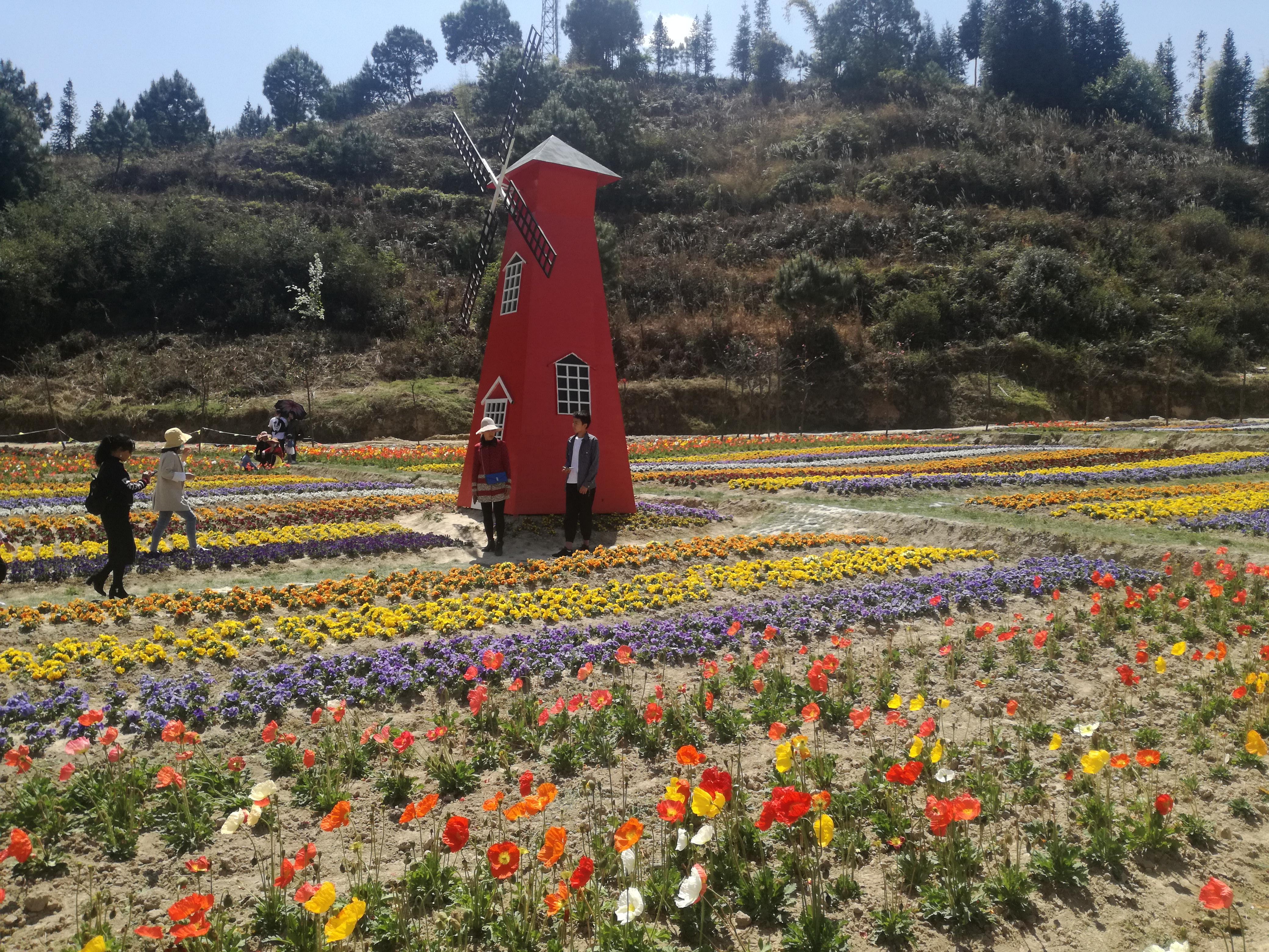 臨滄市最新探索，自然美景之旅，尋找內(nèi)心平和的旅程