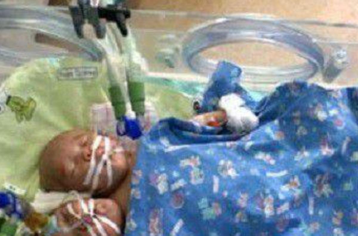 雙頭姐妹，時(shí)代背景下的傳奇故事最新進(jìn)展