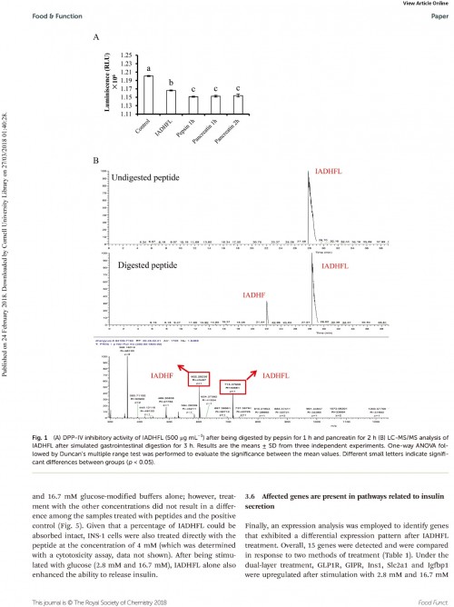 糖肽最新文獻(xiàn)，自然之旅的心靈探尋之旅，尋找內(nèi)心的寧靜