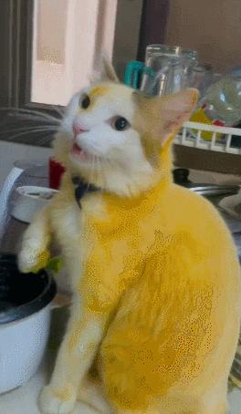 男友最新動(dòng)態(tài)，科技巔峰之作，引領(lǐng)未來生活新紀(jì)元風(fēng)潮