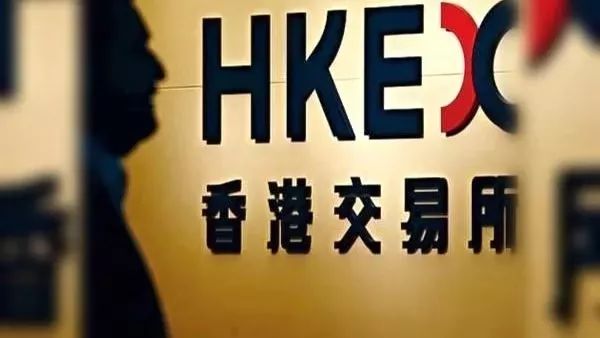 海外歸來最新動態(tài)，全面解讀最新資訊