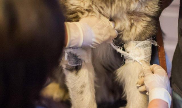 蘇州近期街邊情況，自然美景的心靈之旅體驗(yàn)紀(jì)實(shí)