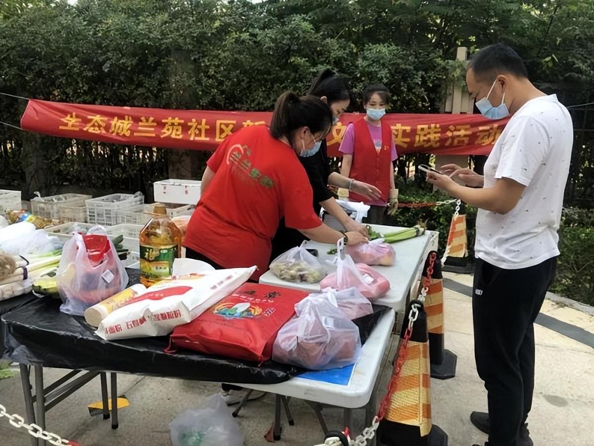 保利華潤紫云價格深度解析，探尋背后的故事與地位影響