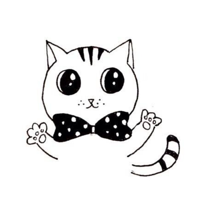 喵咪動漫，初學(xué)者與進(jìn)階用戶的技能學(xué)習(xí)指南