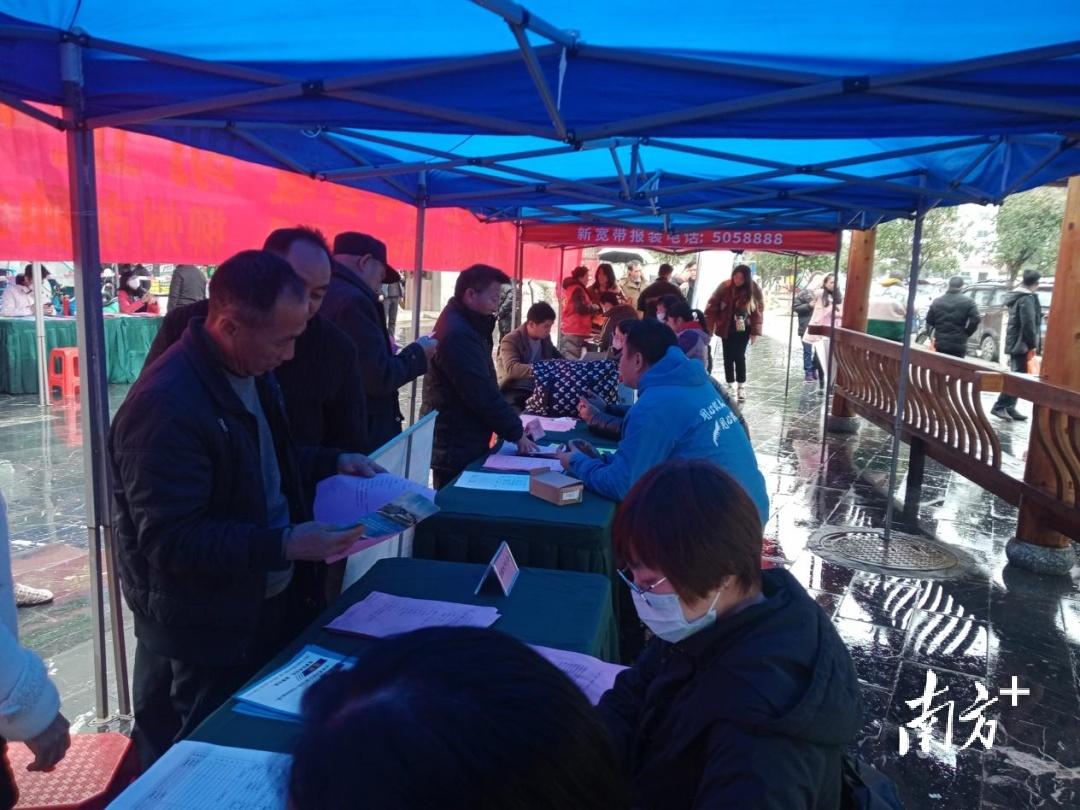 湛江霞山招聘信息,湛江霞山招聘信息——小巷中的驚喜探索