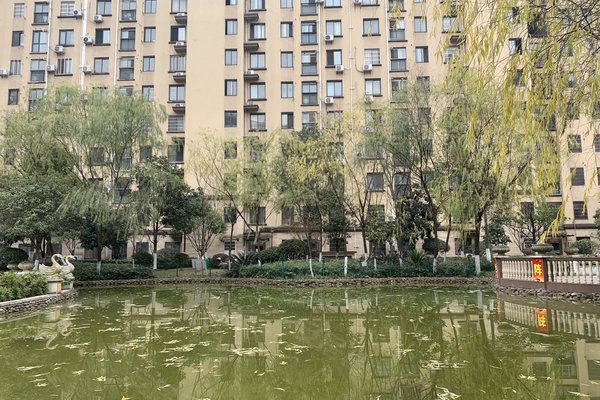 中豪明珠城最新價(jià)格，時(shí)代印記與城市的脈動(dòng)