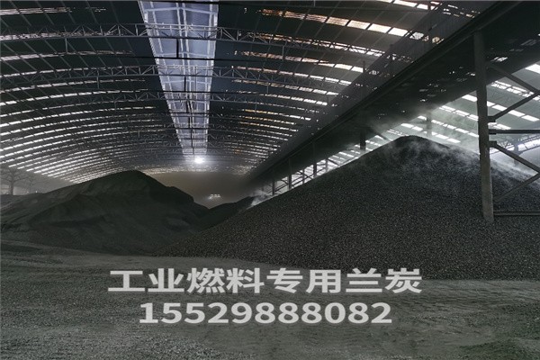 蘭炭?jī)r(jià)格揭秘，背后的故事與影響因素分析