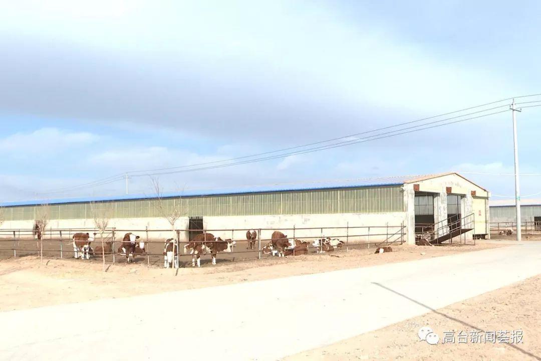 最新養(yǎng)殖場建設(shè)政策解讀，探索之旅啟程