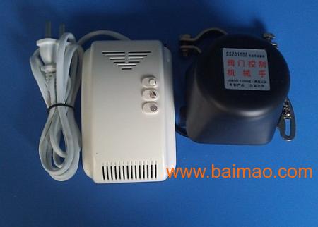 燃氣報警器價格深度探索，小巷獨特小店里的燃氣報警器價格揭秘！