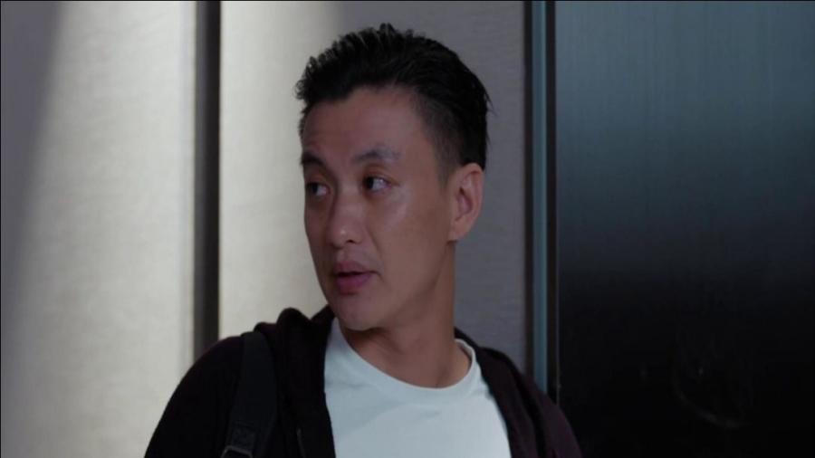 郭鑫年最新動態(tài)揭秘，小巷特色小店探索之旅