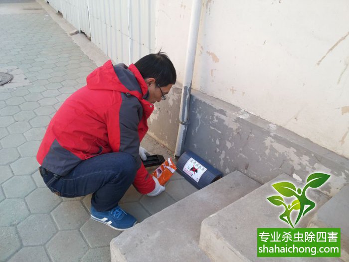 最新滅鼠技術(shù)的觀點論述與立場闡述，創(chuàng)新方法的探索與挑戰(zhàn)