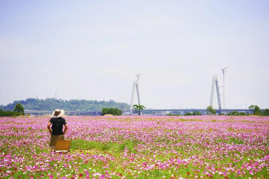 陳小北聚焦科技前沿，引領(lǐng)創(chuàng)新潮流新動態(tài)