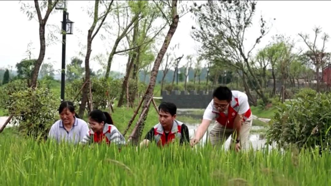 曲陽縣城最新招聘信息揭秘，小巷中的獨(dú)特小店等你來探索！