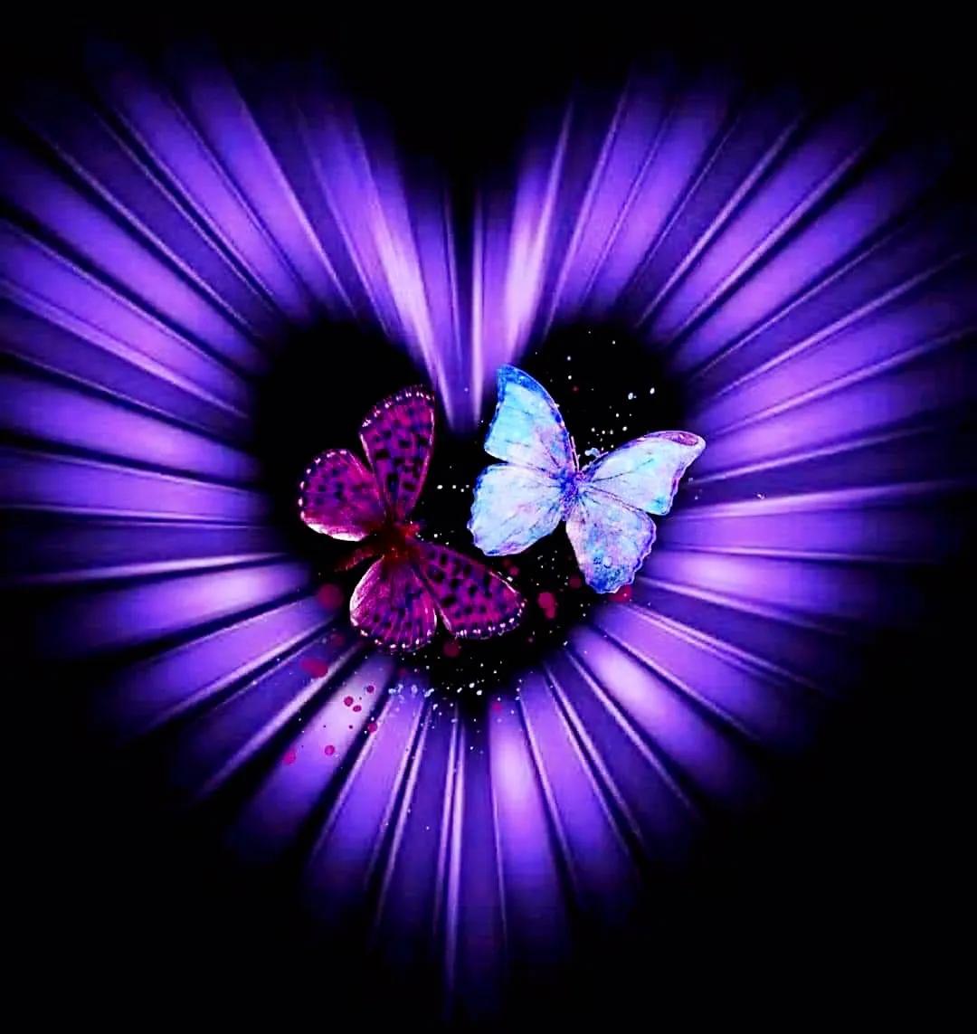 最新情感交流圈，學(xué)習(xí)、成長(zhǎng)與自信的力量之源