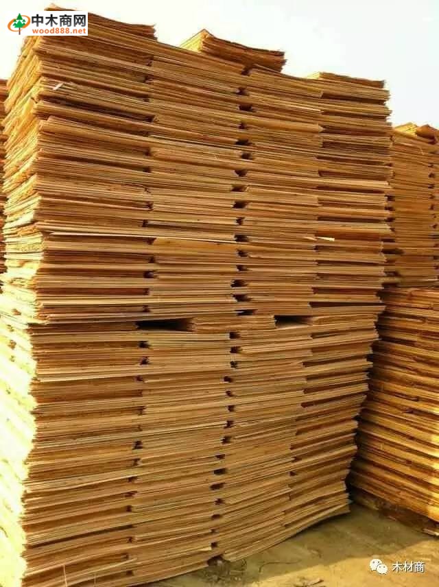 科技革新引領(lǐng)板皮廠行情，開啟板材加工新時(shí)代