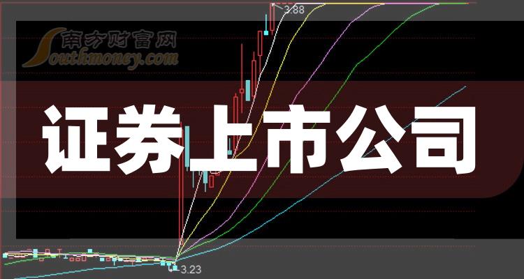 科技巨頭引領下的全新視界，股票上市公司概覽