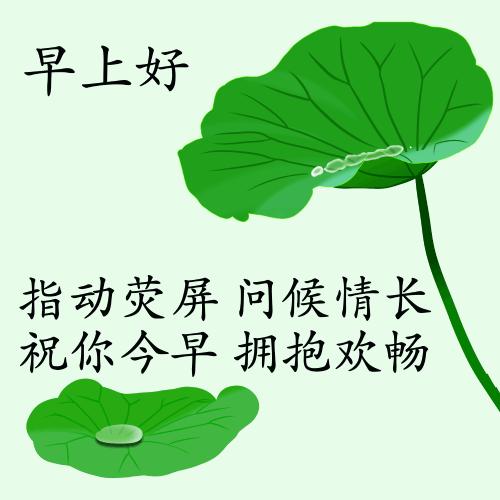 最新疫情動(dòng)態(tài)下的自然探索之旅，追尋內(nèi)心的平和與寧?kù)o