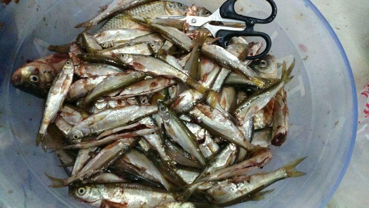 昆明最新野釣地點探索，重拾生活激情與自信的自然之旅