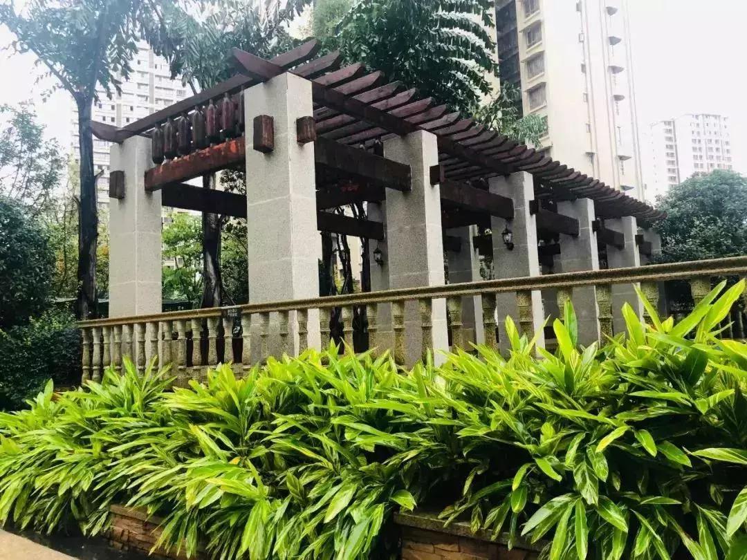 陽光江山金岸最新動態(tài)揭秘，全面指南與步驟詳解