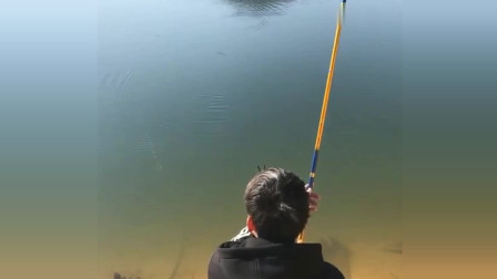 楊柏文最新垂釣視頻，從初學者到進階用戶的技能提升指南