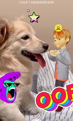 崽崽最新版下載，一段充滿愛(ài)與陪伴的溫馨旅程