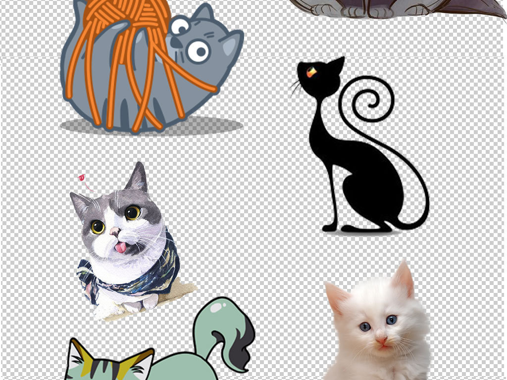 動(dòng)漫小貓圖片，制作指南與精選圖片欣賞