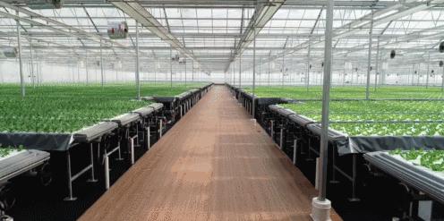 LED光源 第152頁(yè)